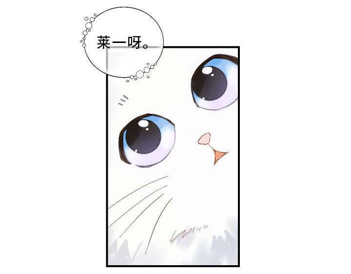 亲爱的喵君漫画,第2章：白猫1图