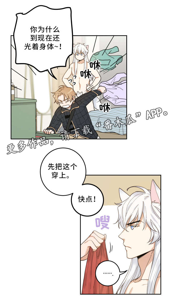亲爱的喵君漫画,第7章：衣服2图