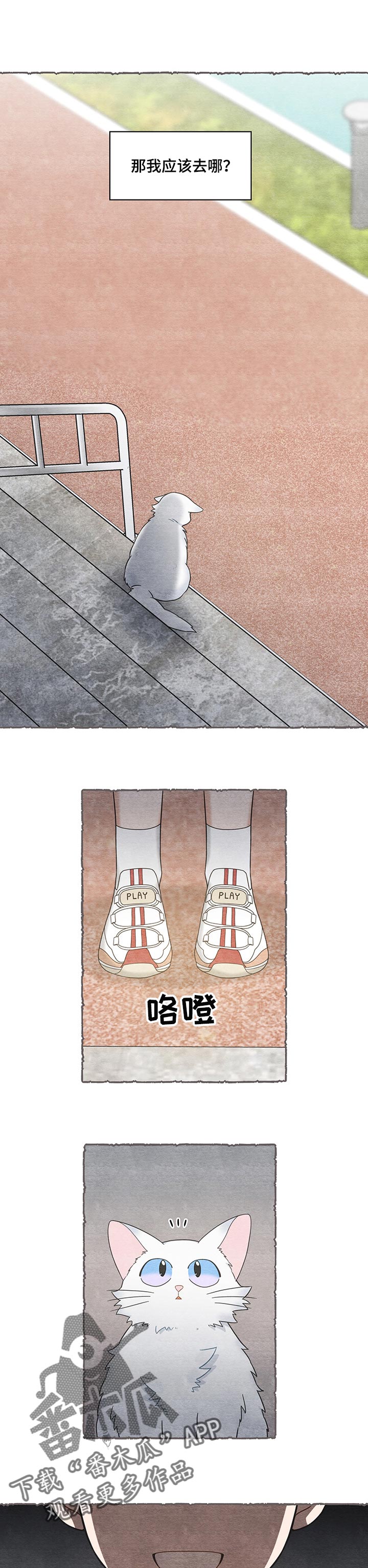 亲爱的喵君漫画,第104章：失踪了1图