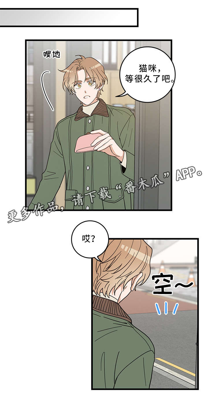 亲爱的喵君漫画,第31章：黑猫3图