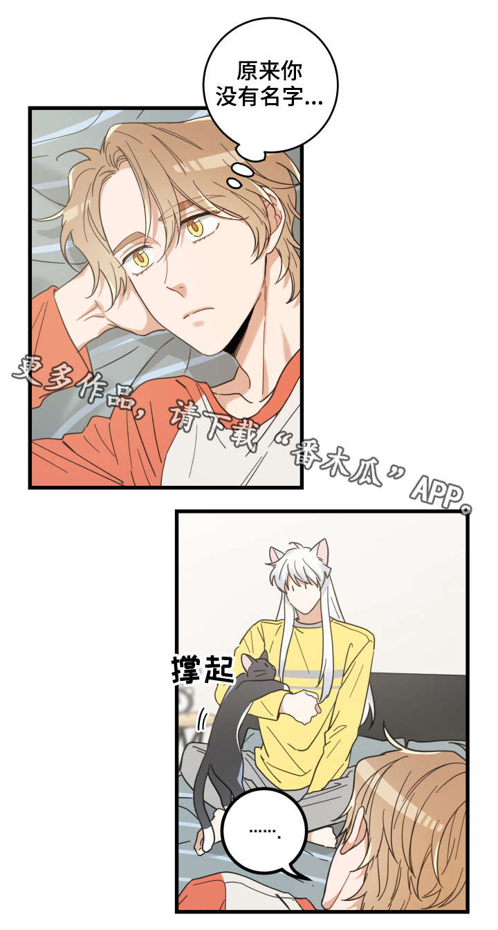 亲爱的喵君漫画,第42章：臭猫3图