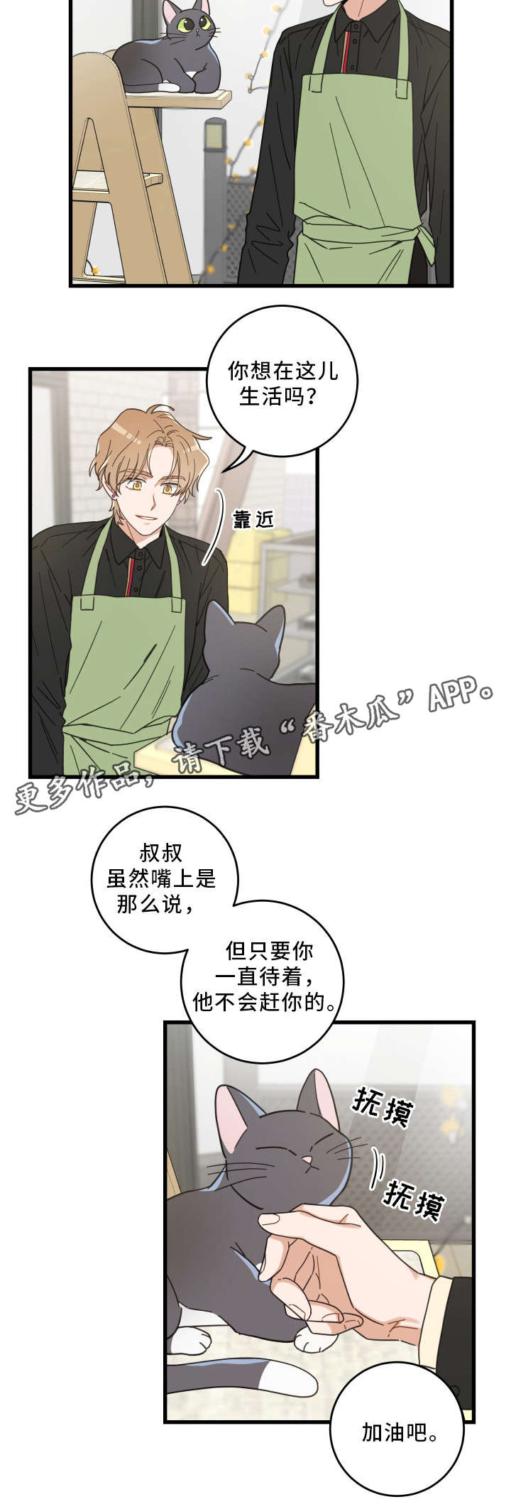 亲爱的喵君漫画,第35章：盯3图