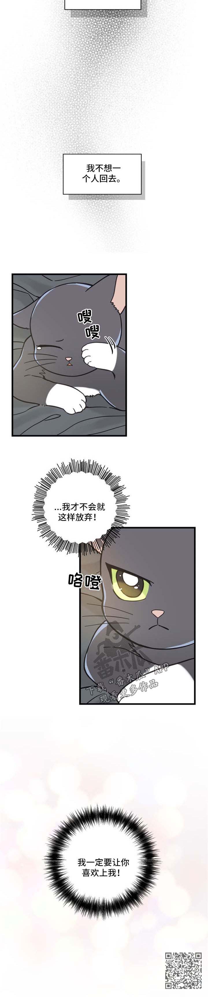 亲爱的喵君漫画,第87章：不放弃4图