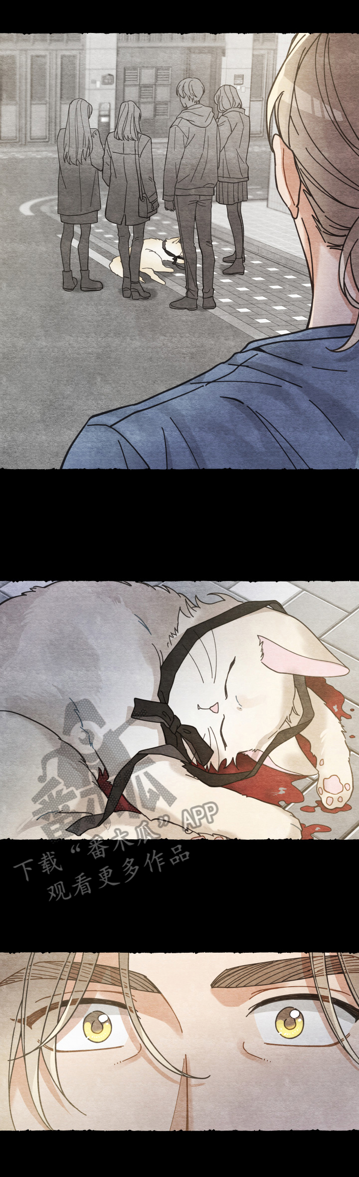 亲爱的喵君漫画,第60章：悲剧1图