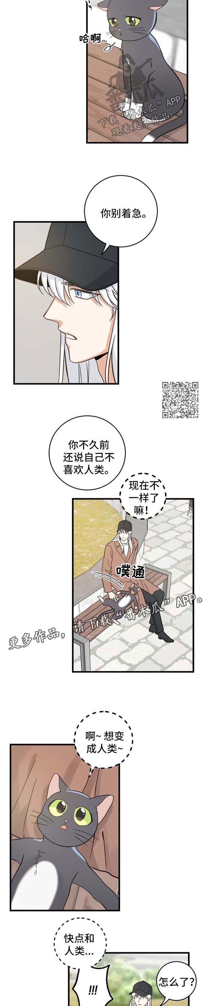 亲爱的喵君漫画,第91章：偶遇3图