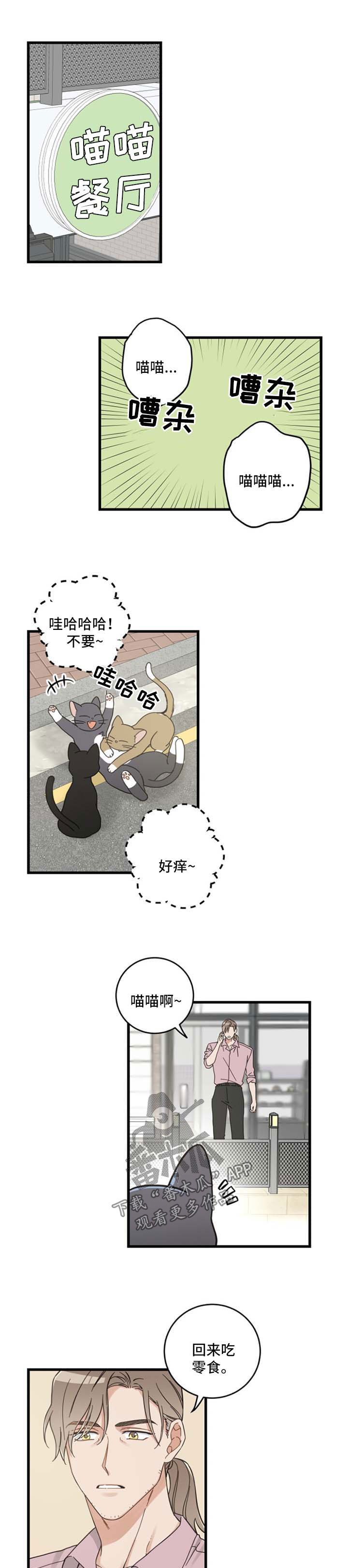 亲爱的喵君漫画,第94章：忧愁5图