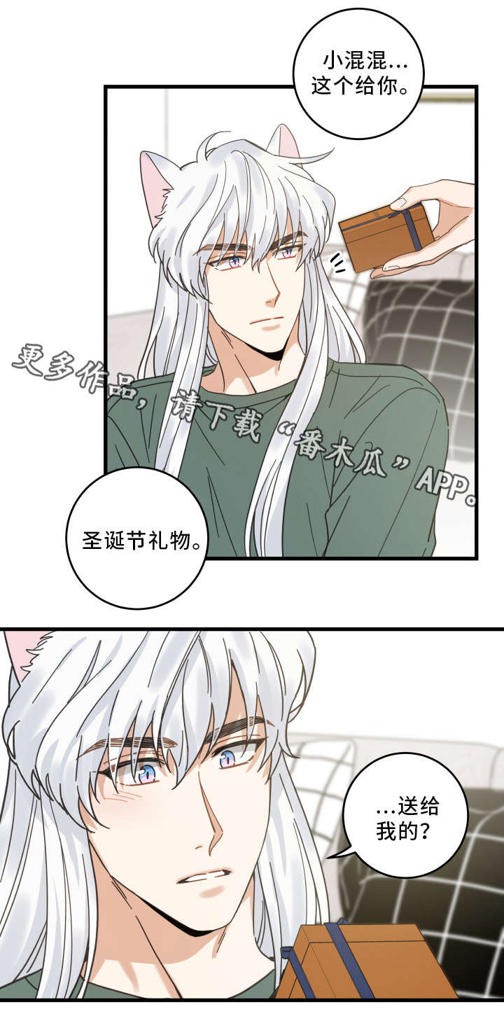 亲爱的喵君漫画,第28章：蛋糕2图