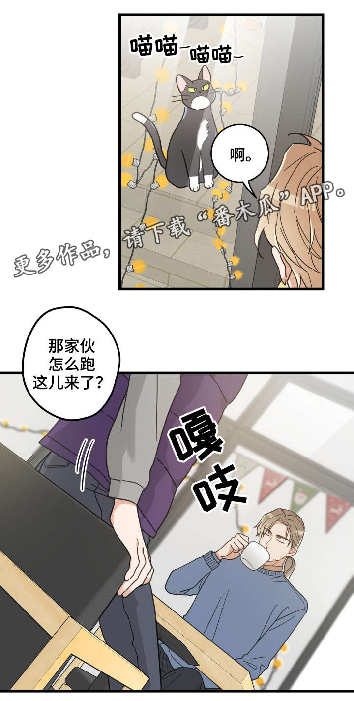 亲爱的喵君漫画,第43章：叔叔5图