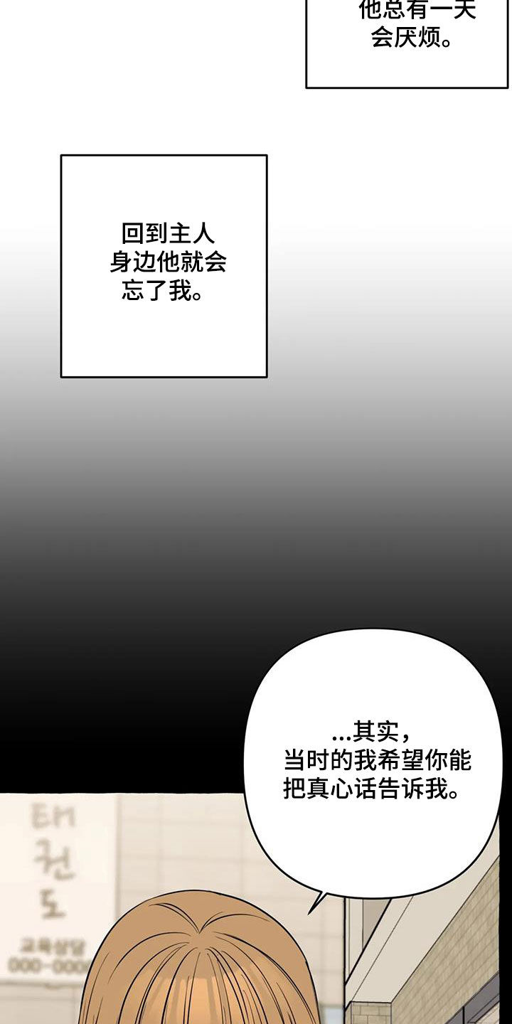 忠犬三三漫画,第27章：最后一天5图