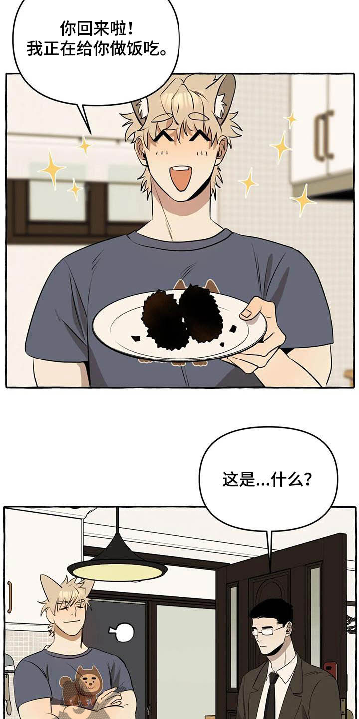 忠犬三三漫画,第16章：做饭5图