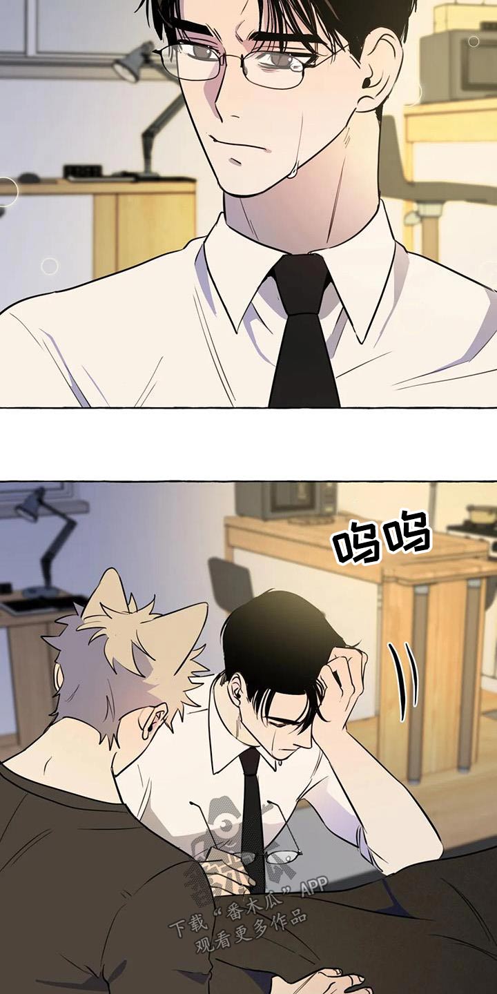 忠犬三三漫画,第60章：【第二季】谢谢你5图