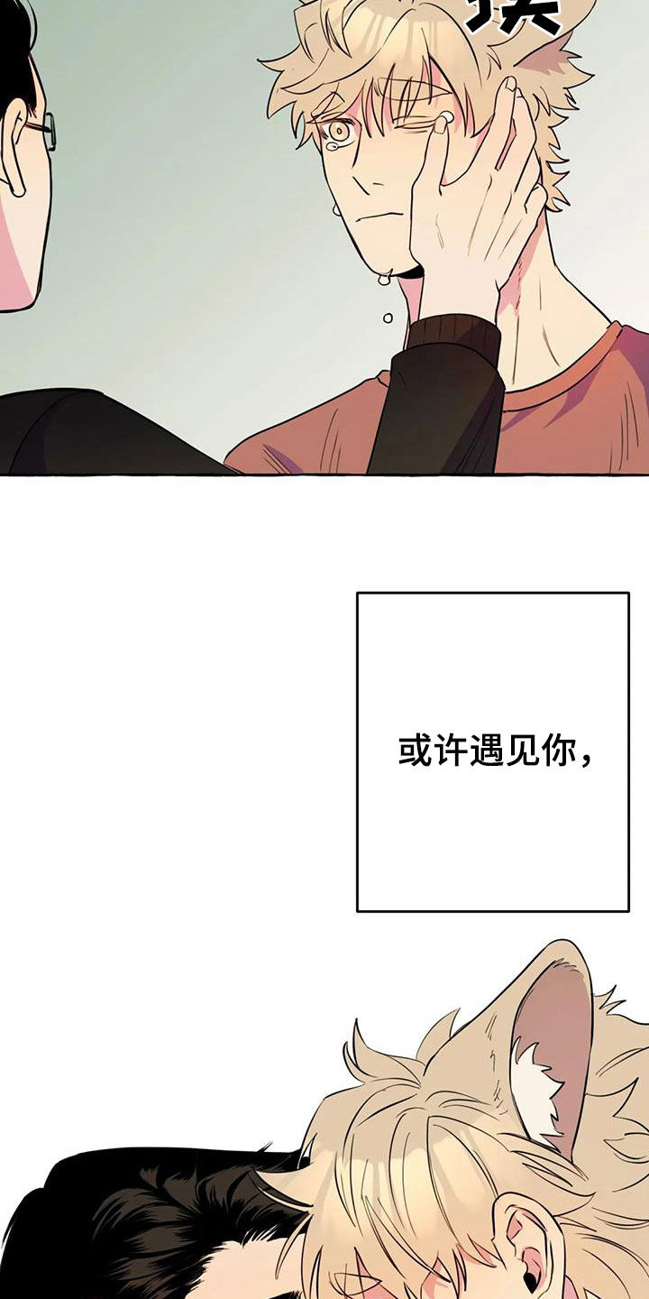 第22章：命中注定4