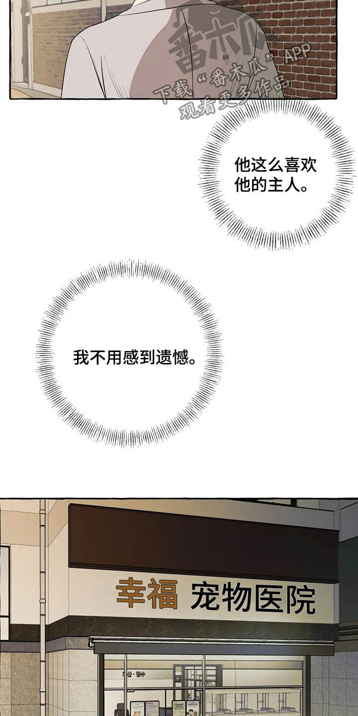 忠犬三三漫画,第16章：做饭2图