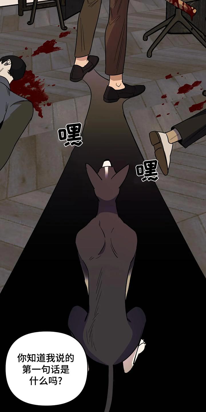 忠犬三三漫画,第50章：【第二季】人生5图