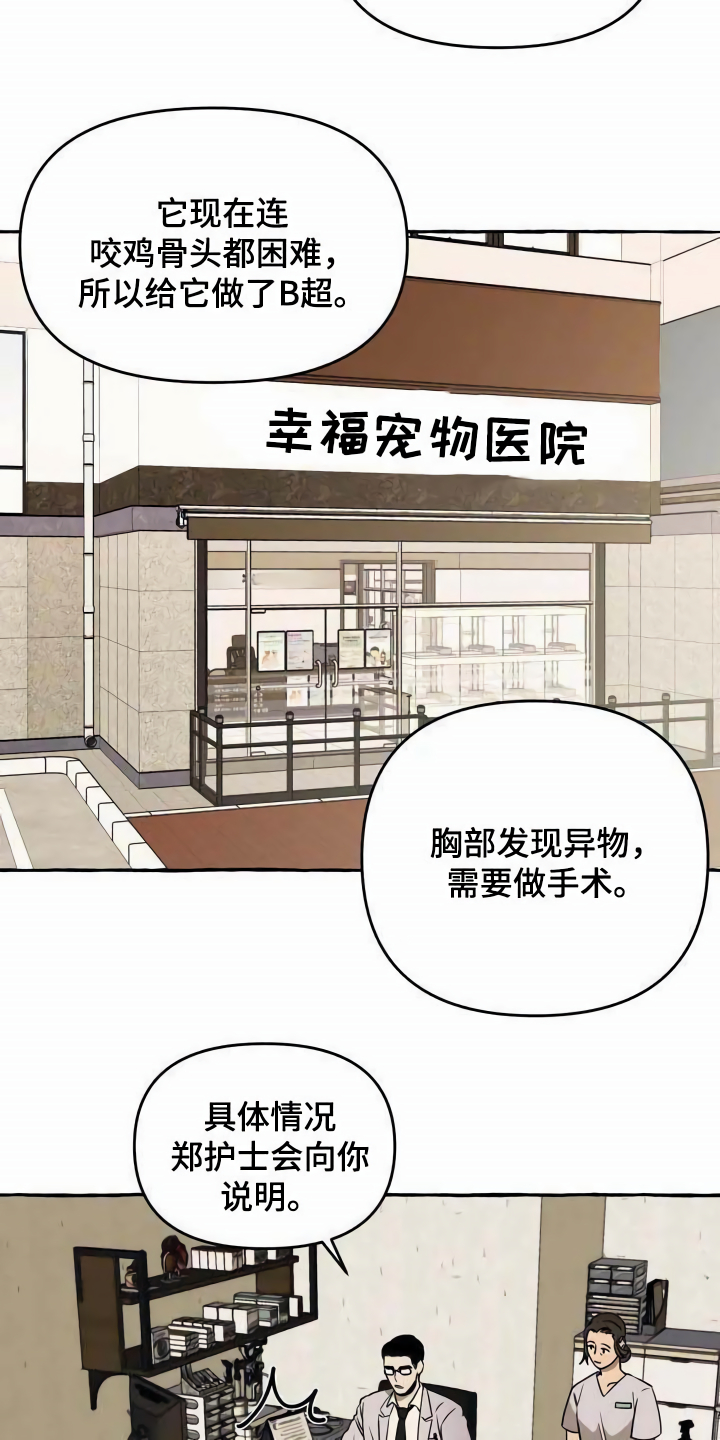 第1章：流浪狗1