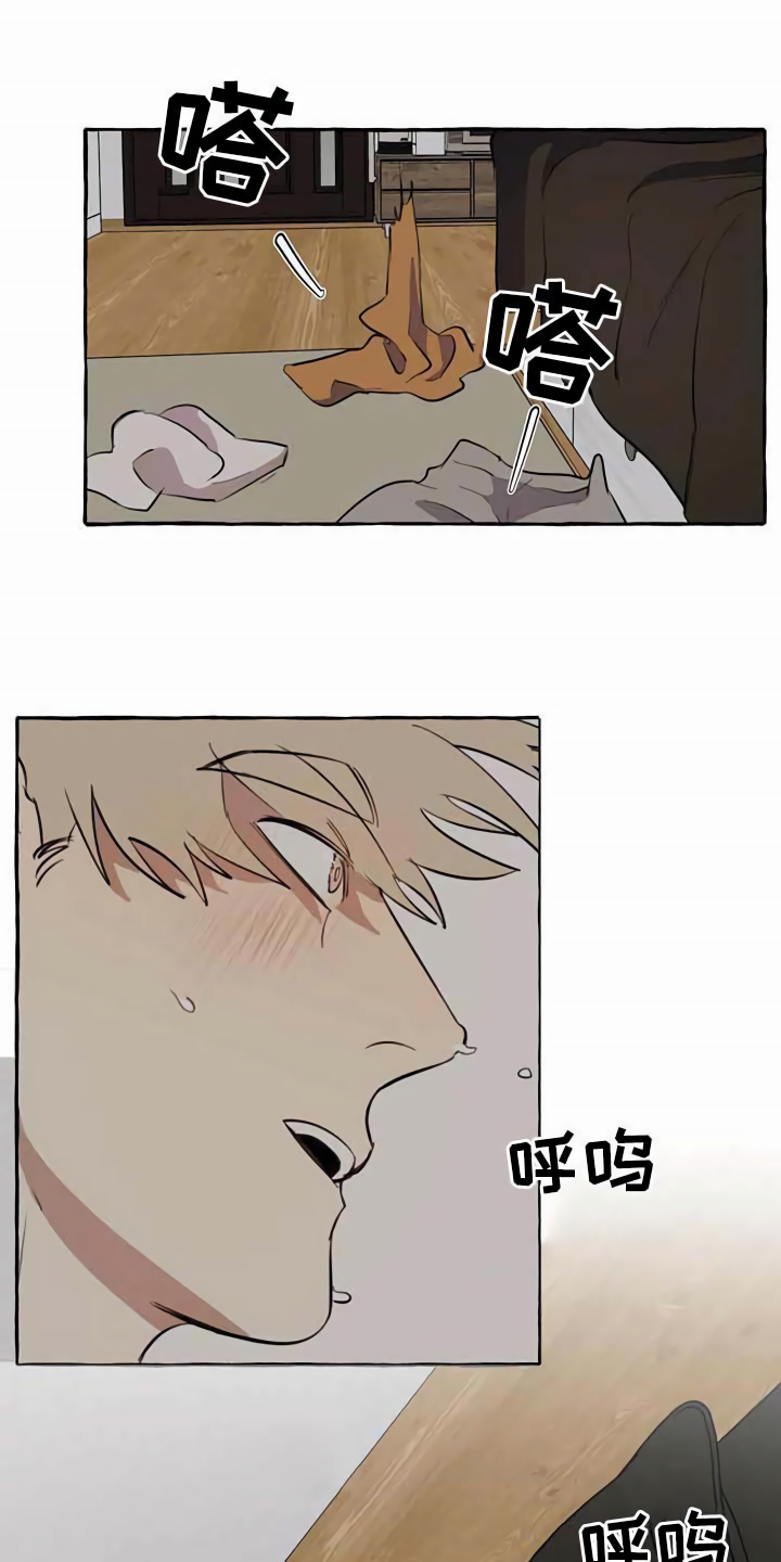 第9章：特殊感受0