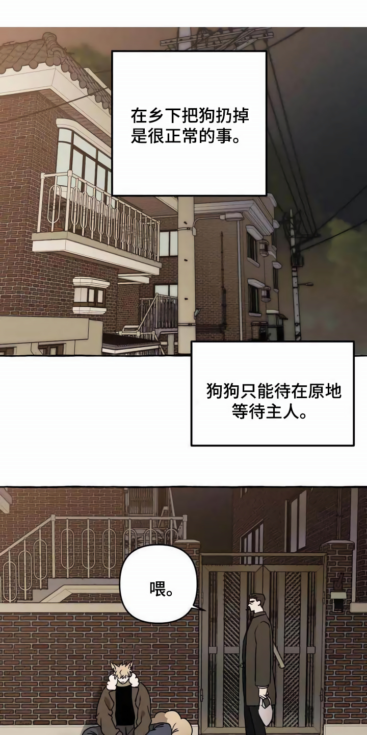 第1章：流浪狗0