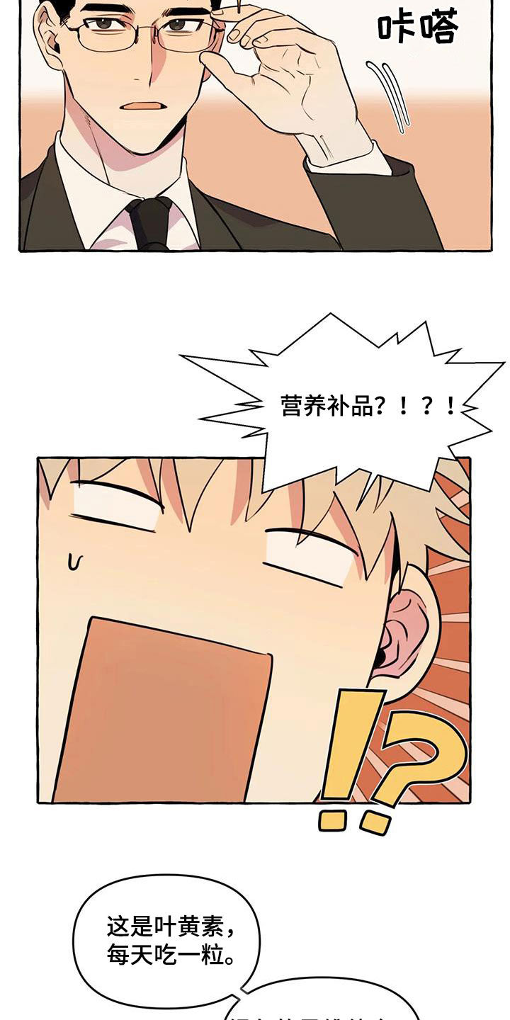 忠犬三三漫画,第27章：最后一天1图