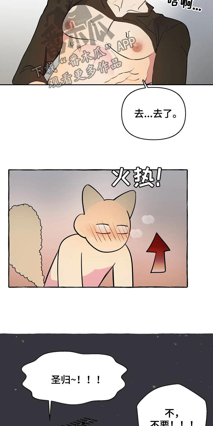 第30章：太着急了4