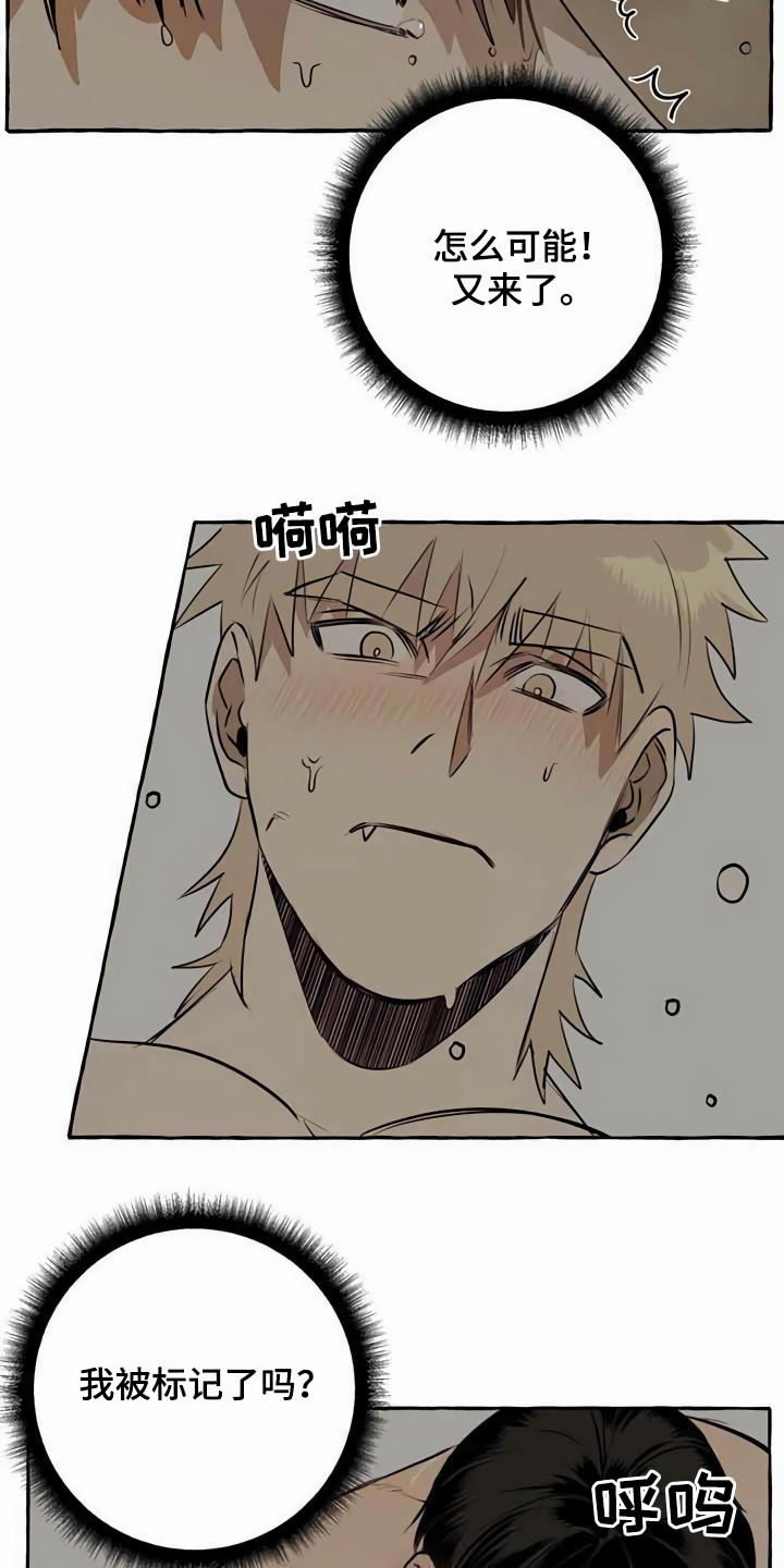 第9章：特殊感受4