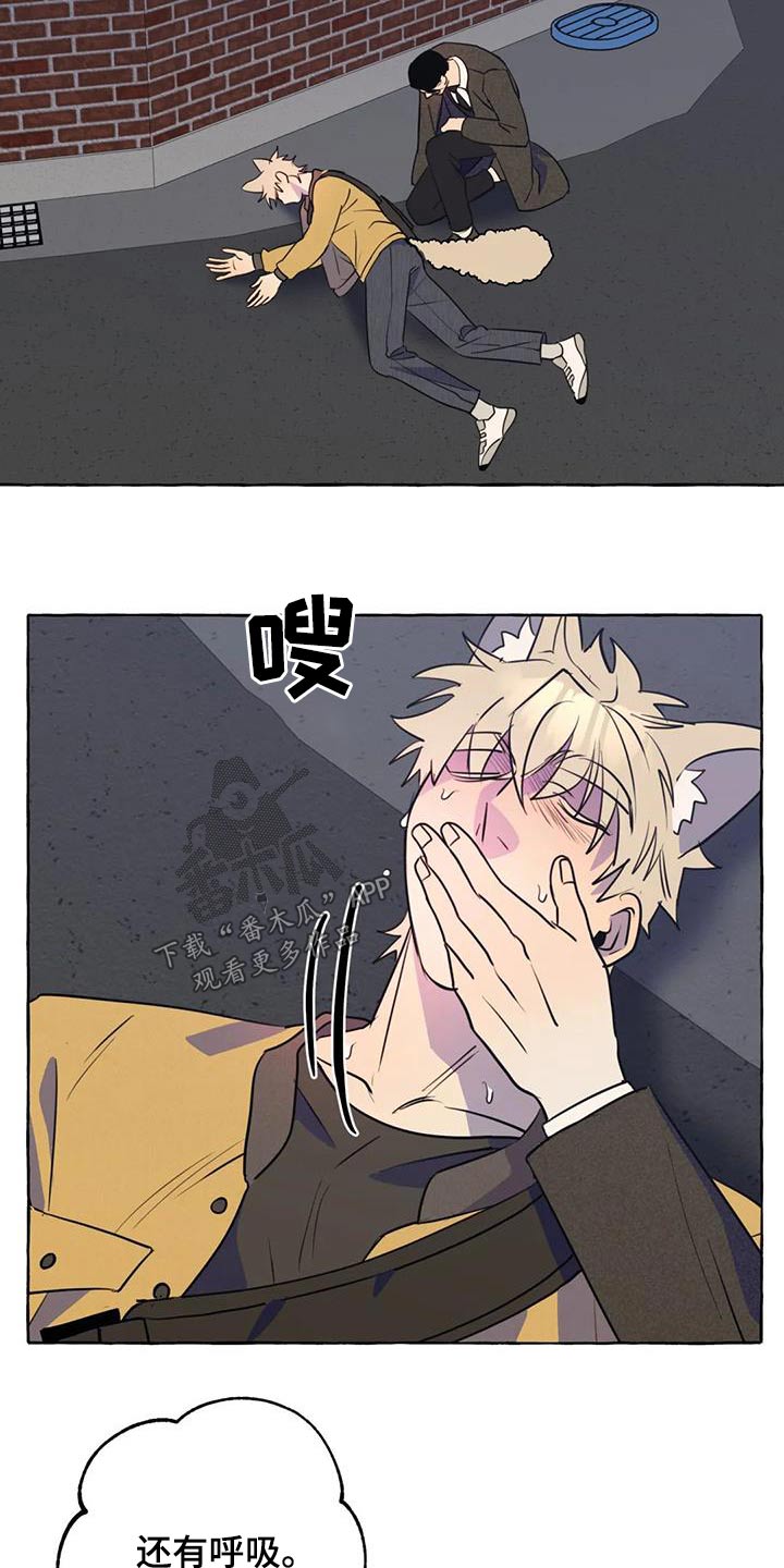 第59章：【第二季】晕倒2