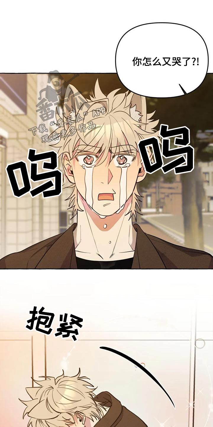 第45章：【第二季】保护4