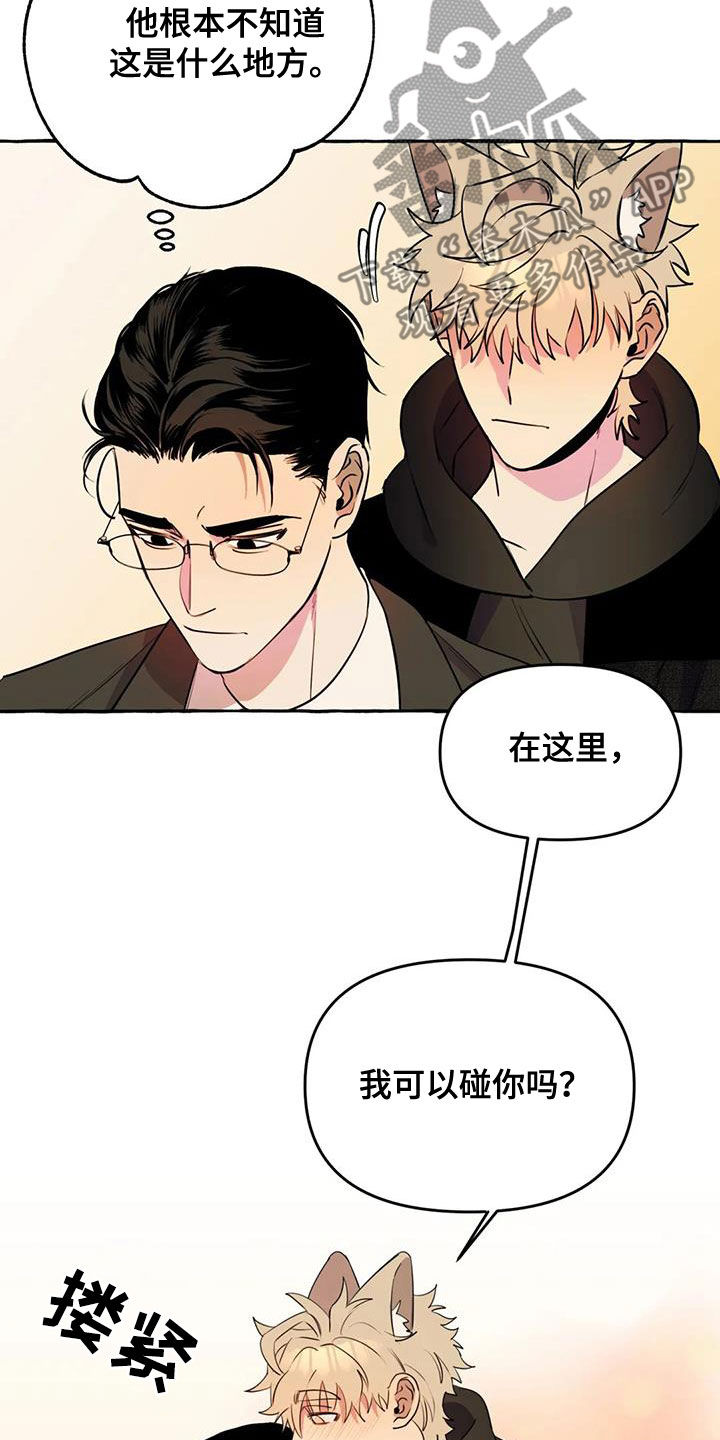 第37章：好想你2