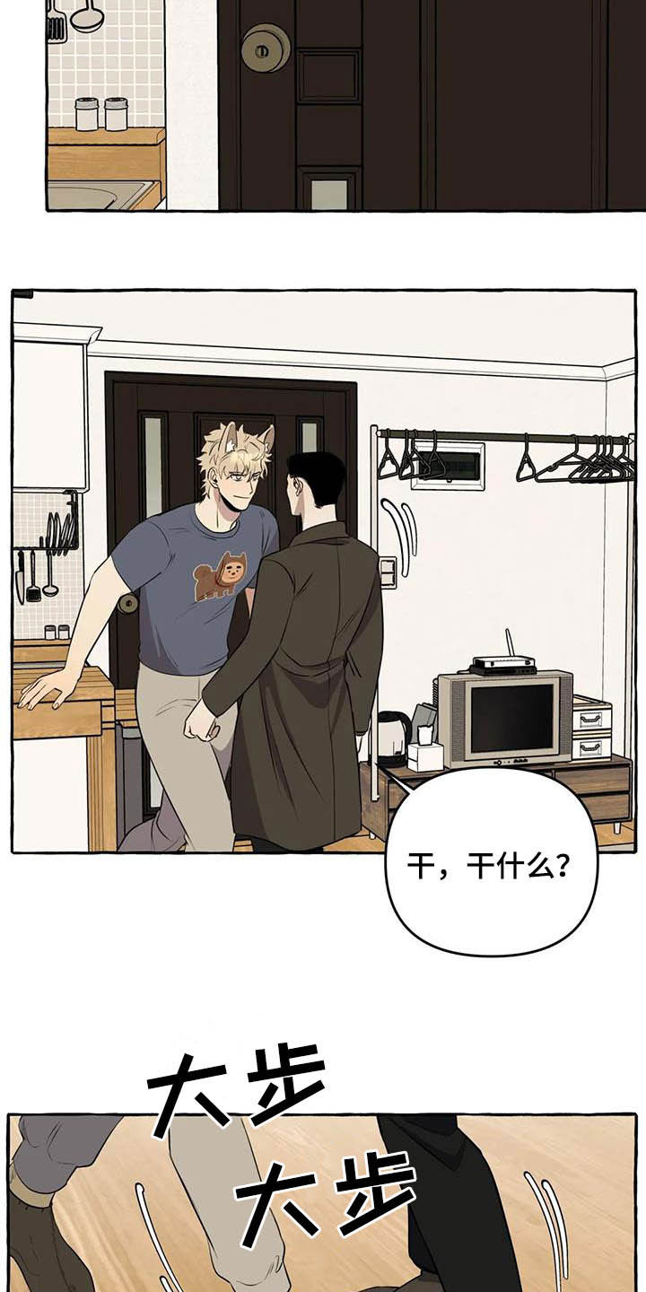 忠犬三三漫画,第16章：做饭3图