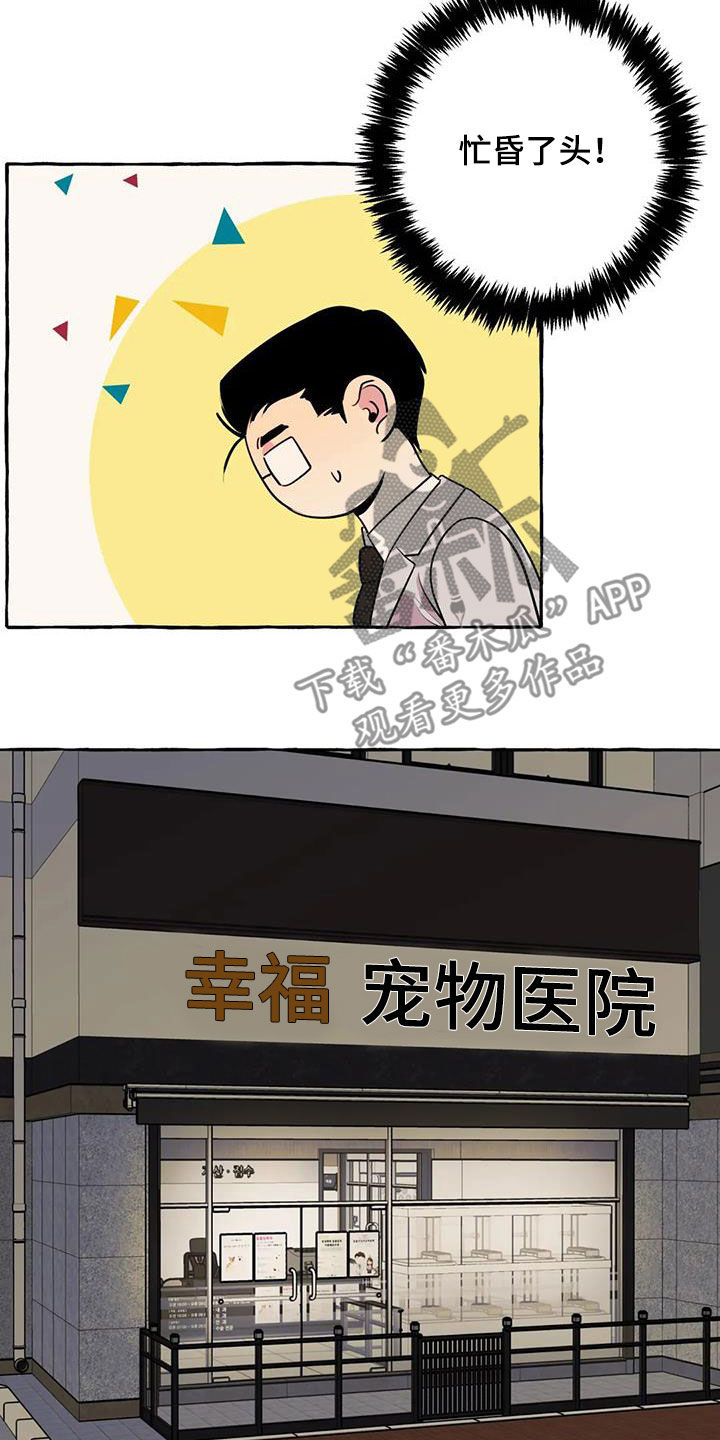 第33章：失去联系4