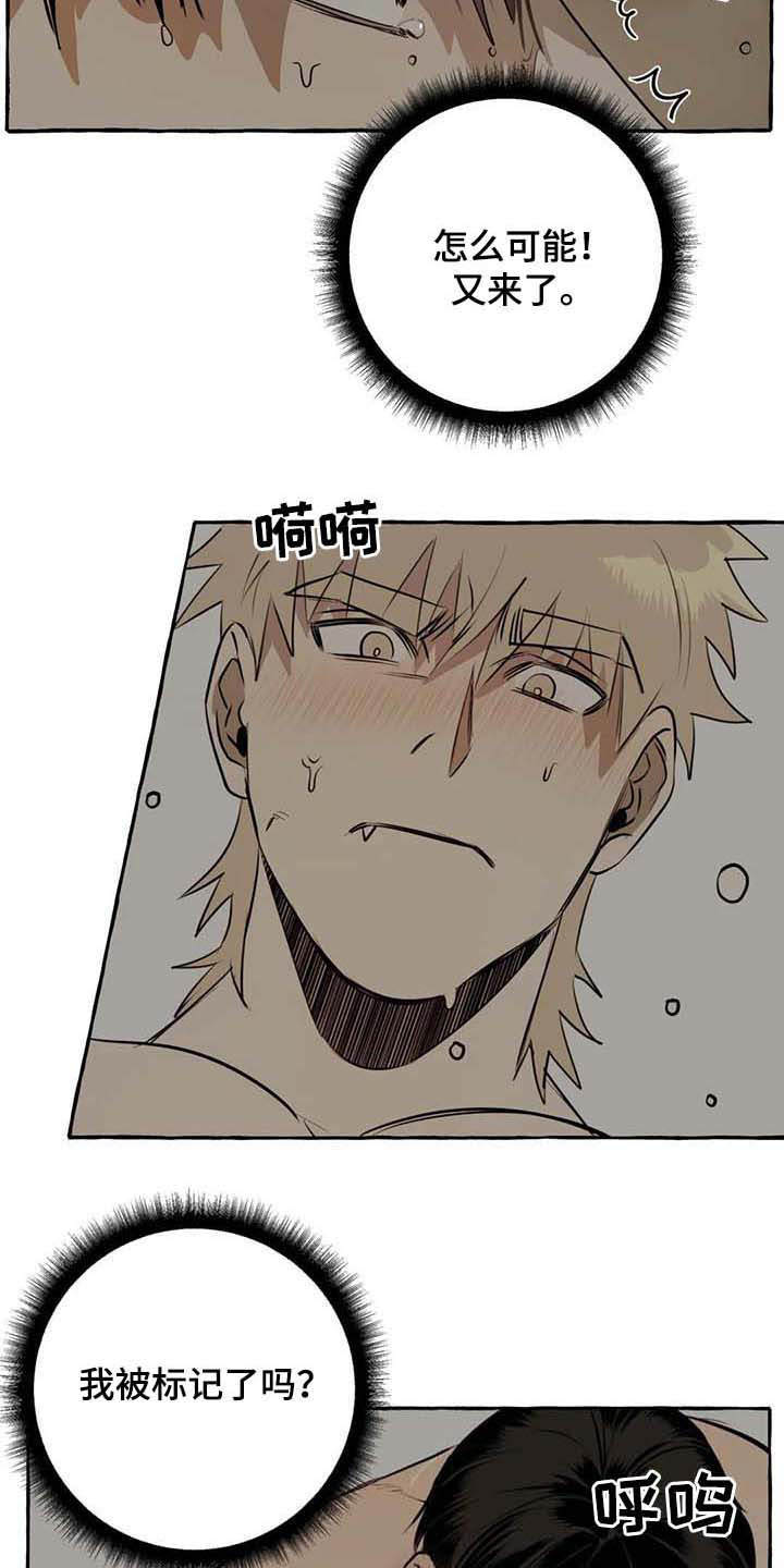 第9章：特殊感受3