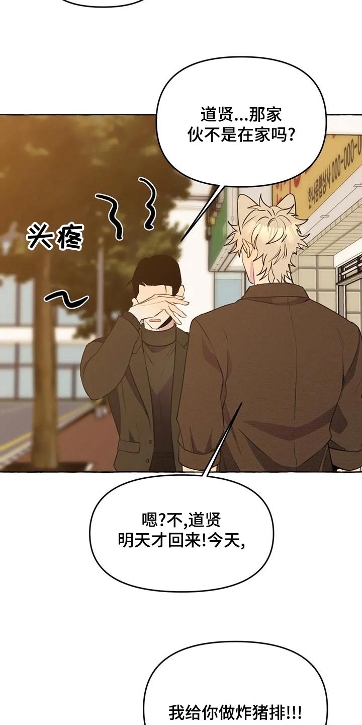 第45章：【第二季】保护3