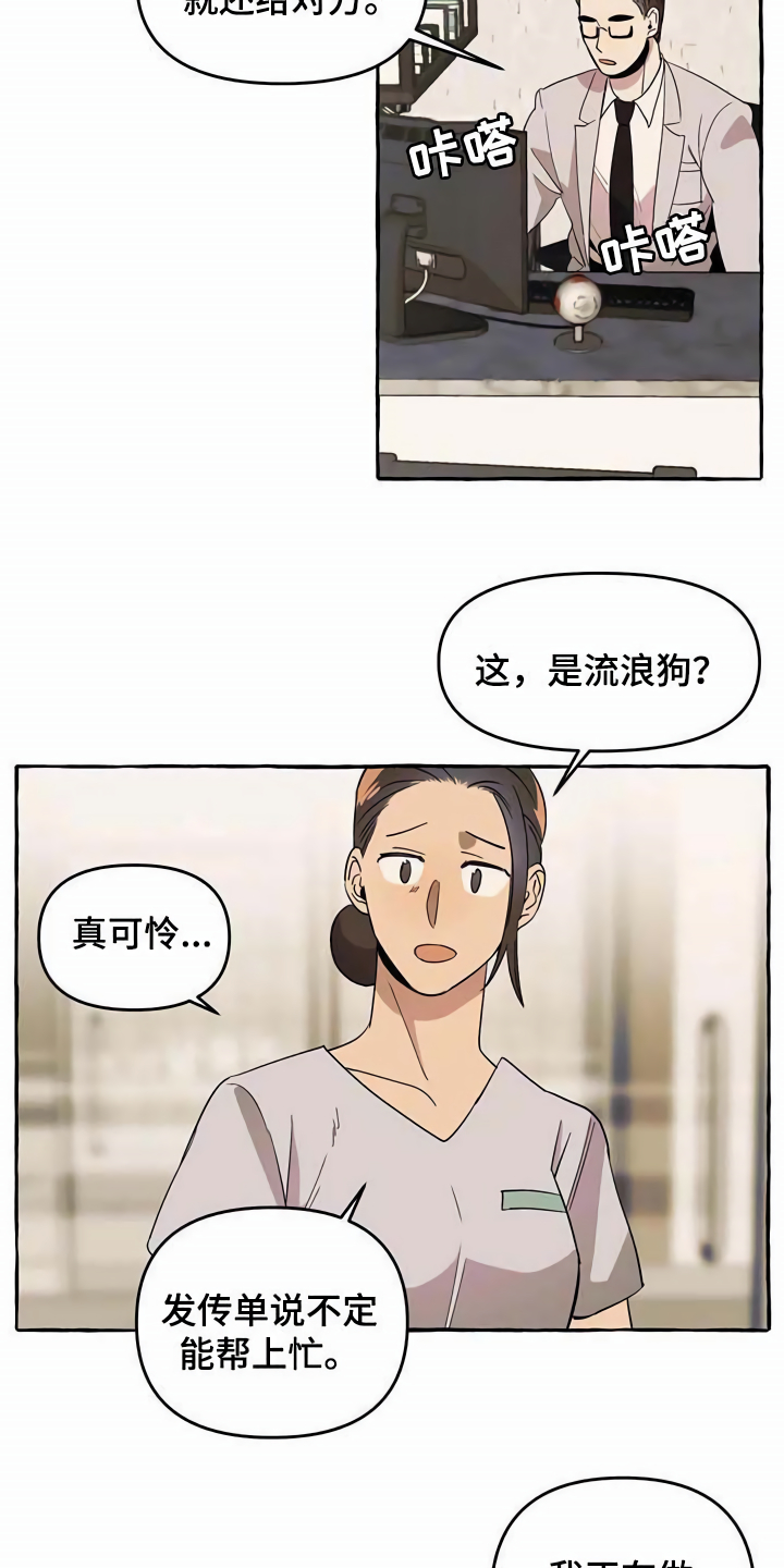 忠犬三三漫画,第5章：传单3图