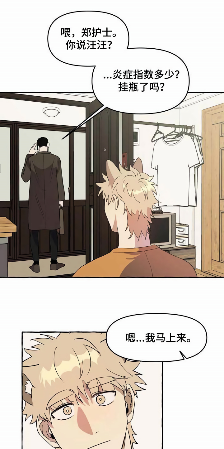 忠犬三三漫画,第5章：传单3图