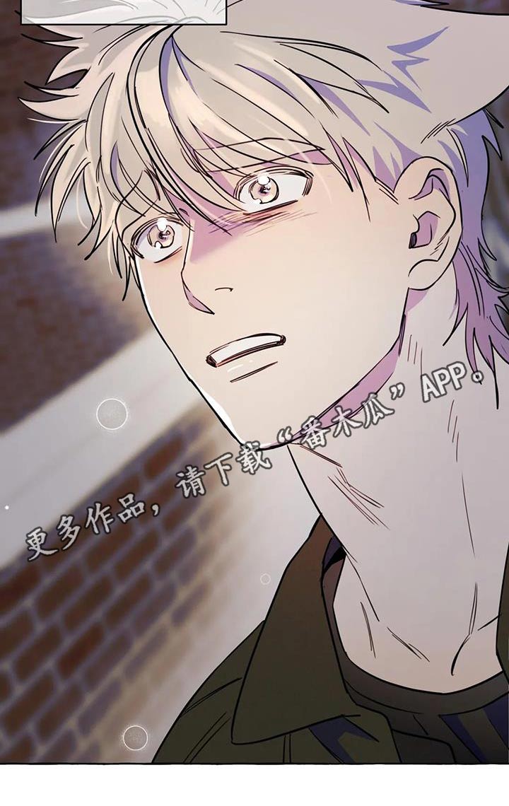 忠犬三三漫画,第55章：【第二季】对不起1图