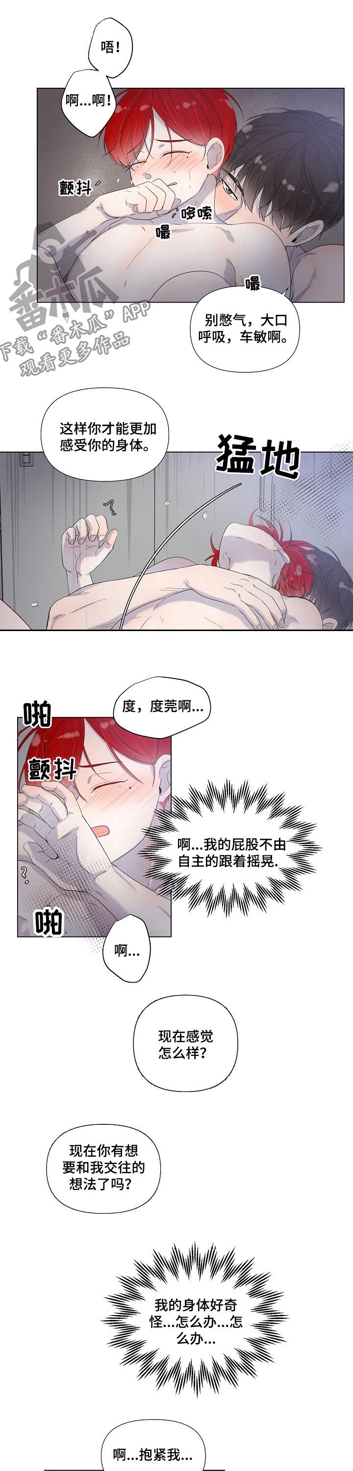 一夜失忆漫画,第74章：喜欢上你了3图