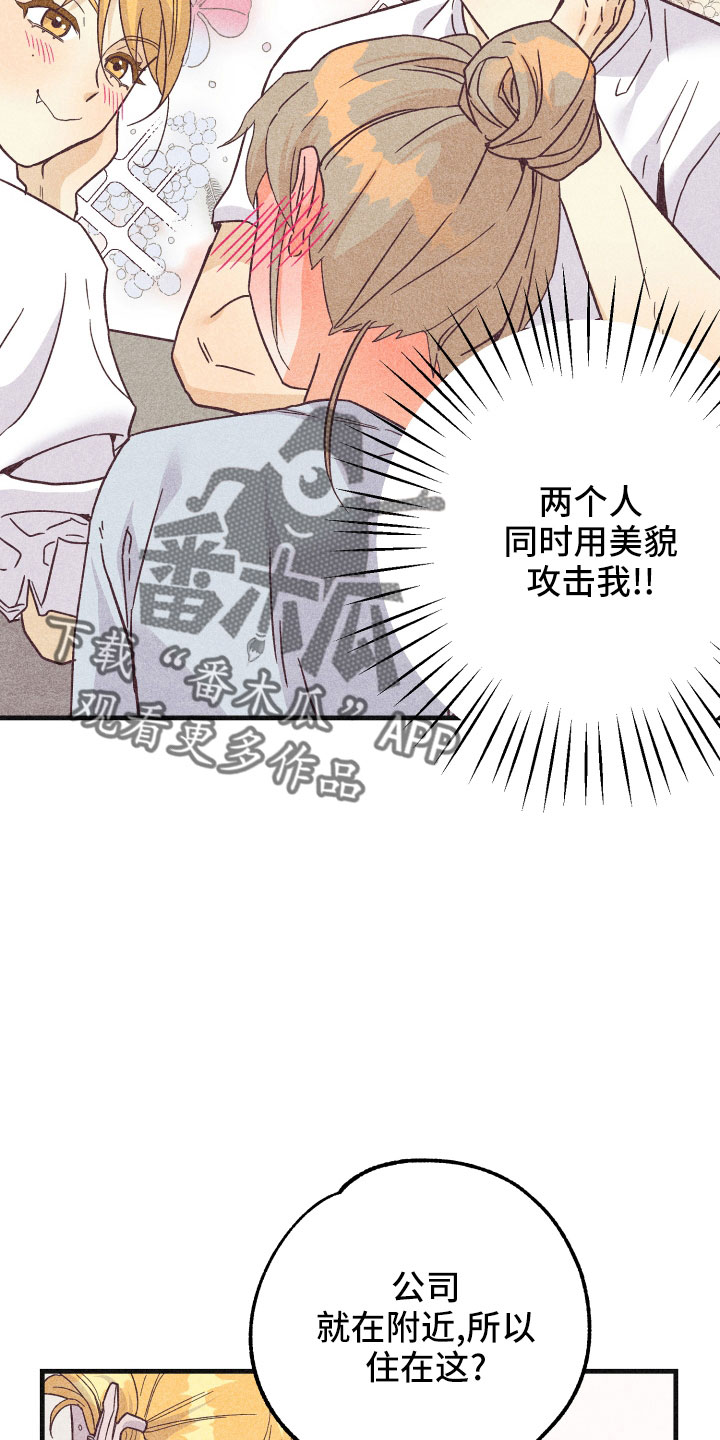 许愿烛台漫画,第33章：一见钟情5图