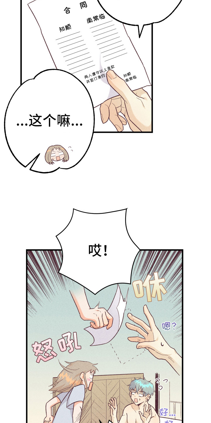 许愿蜡烛图案漫画,第14章：合同1图