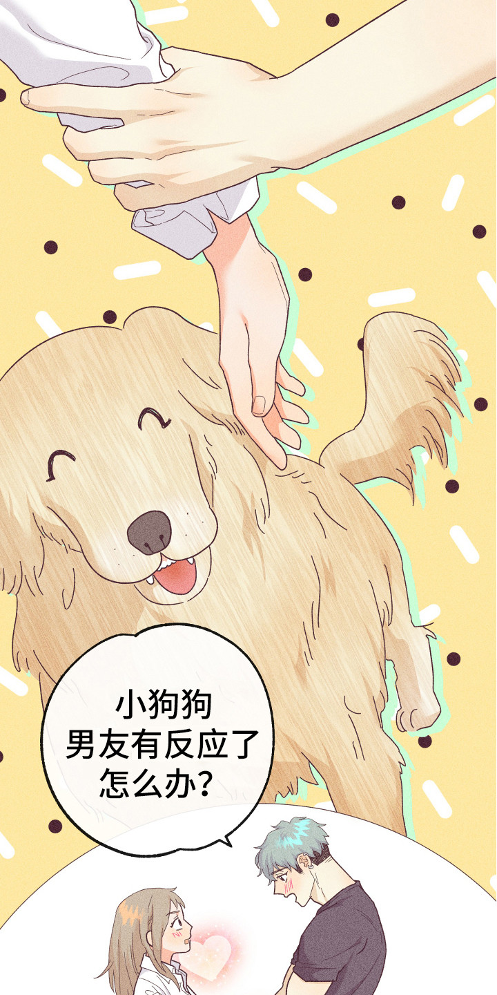 生日蜡烛许愿烛台漫画,第20章：小狗狗5图