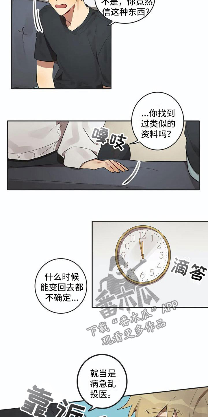 互换诅咒漫画,第6章：爱5图