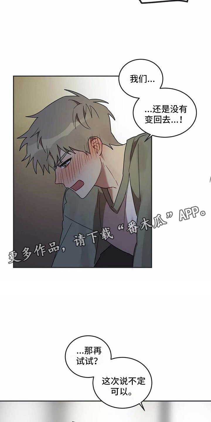 互换诅咒漫画,第17章：诅咒解除5图
