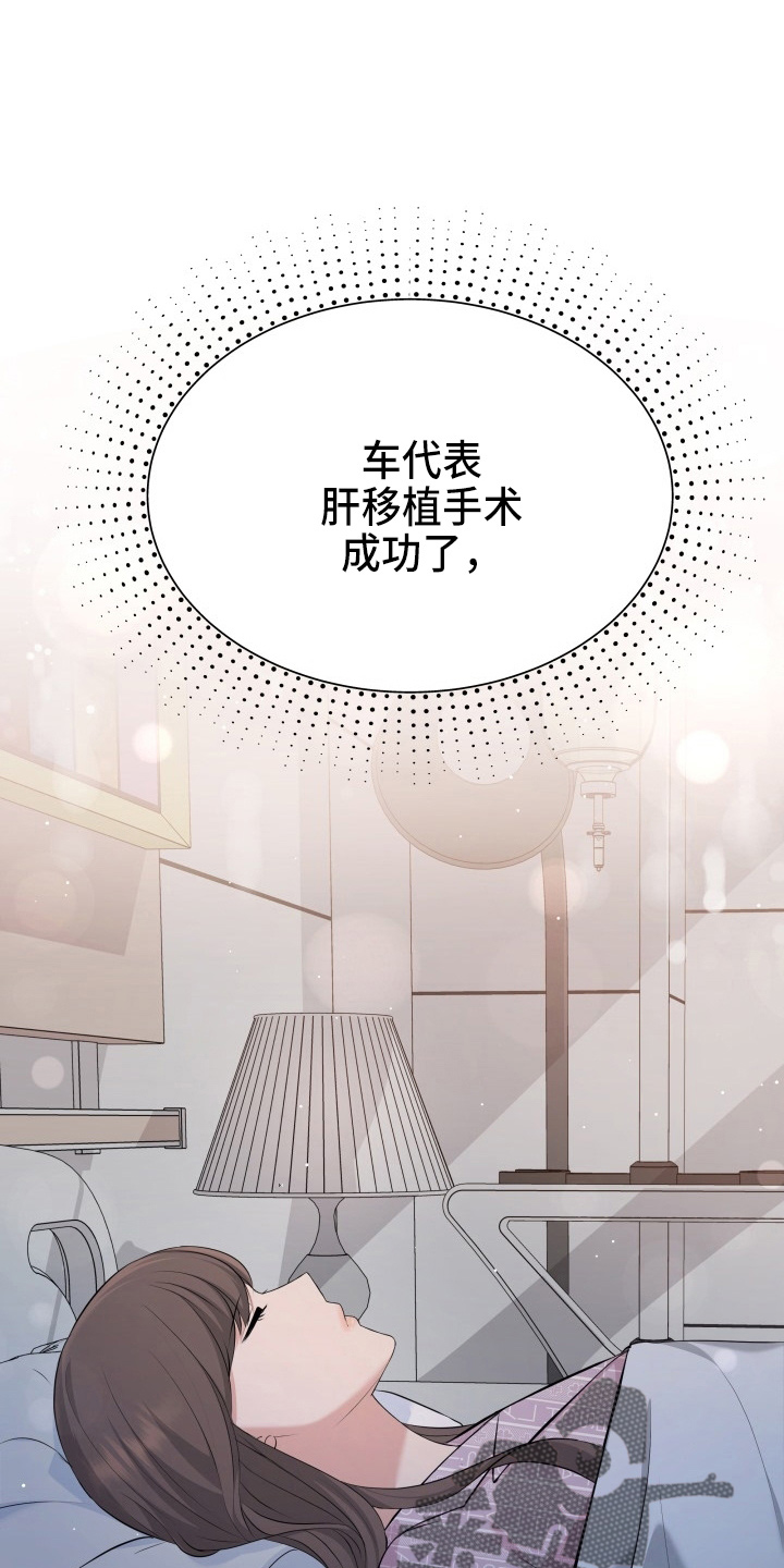 换面屏和换背光与原装屏幕区别漫画,第97章：失忆1图