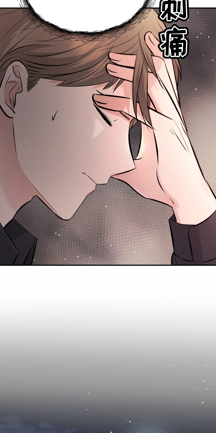 换面法原理介绍漫画,第90章：替身5图