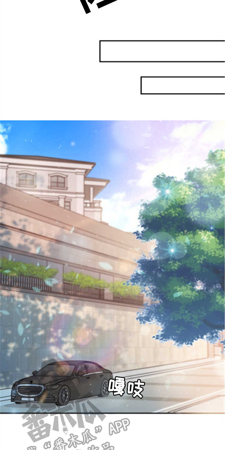 换面法求点到直线的距离漫画,第24章：玫瑰4图