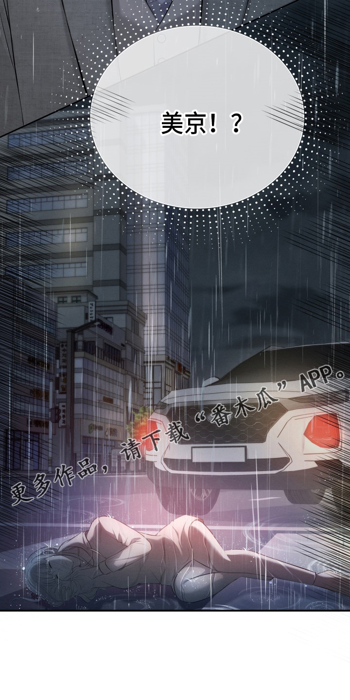 换替身是什么漫画,第95章：车祸1图