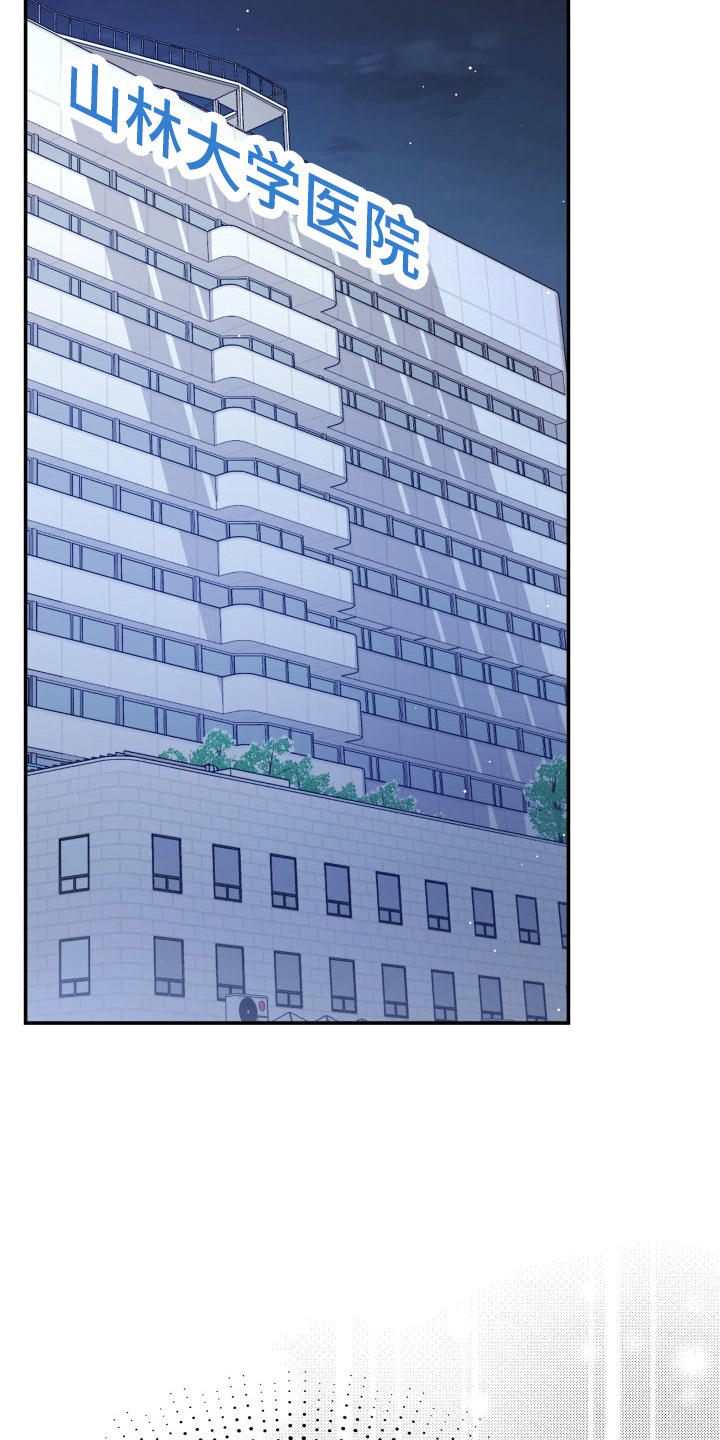 换面屏和换背光与原装屏幕区别漫画,第97章：失忆1图