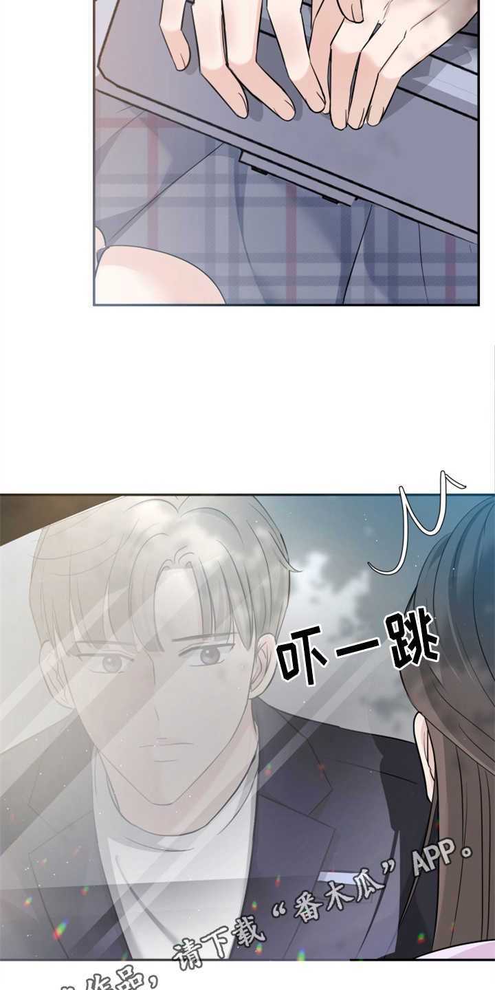 换面法求点到直线的距离漫画,第24章：玫瑰3图