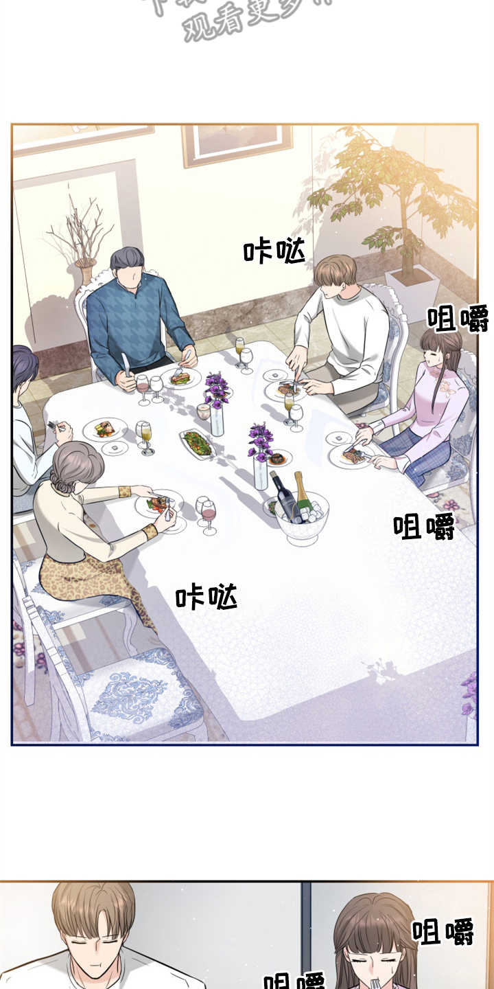 换面屏和换背光与原装屏幕区别漫画,第25章：见家长2图