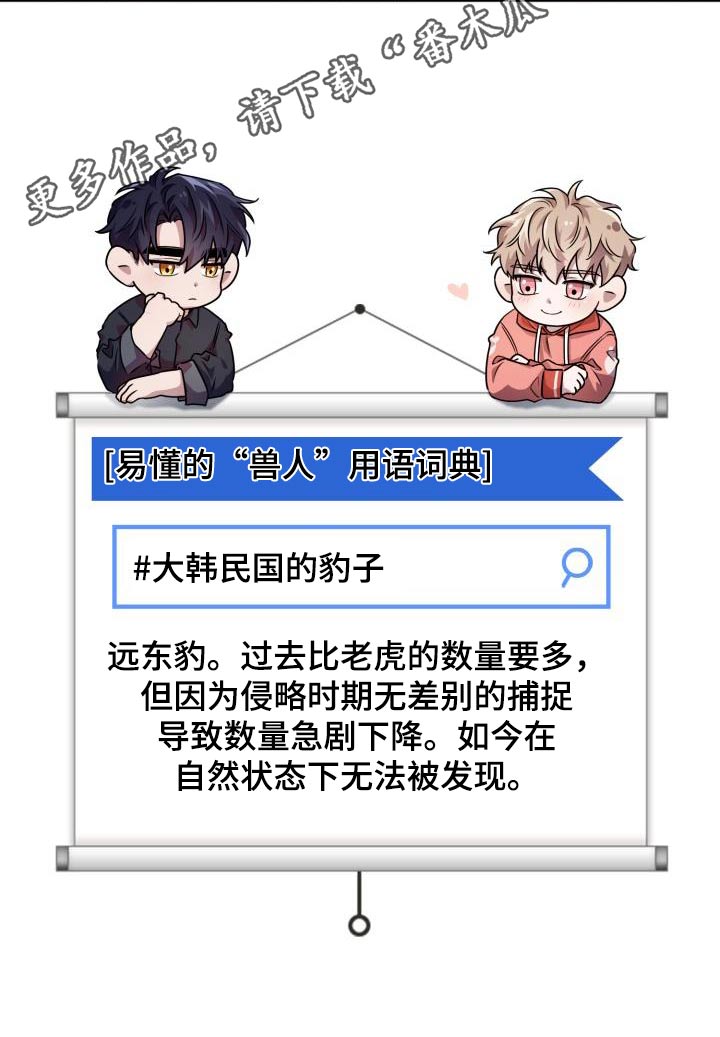 兽现文字漫画,第86章：【第二季】豹子3图