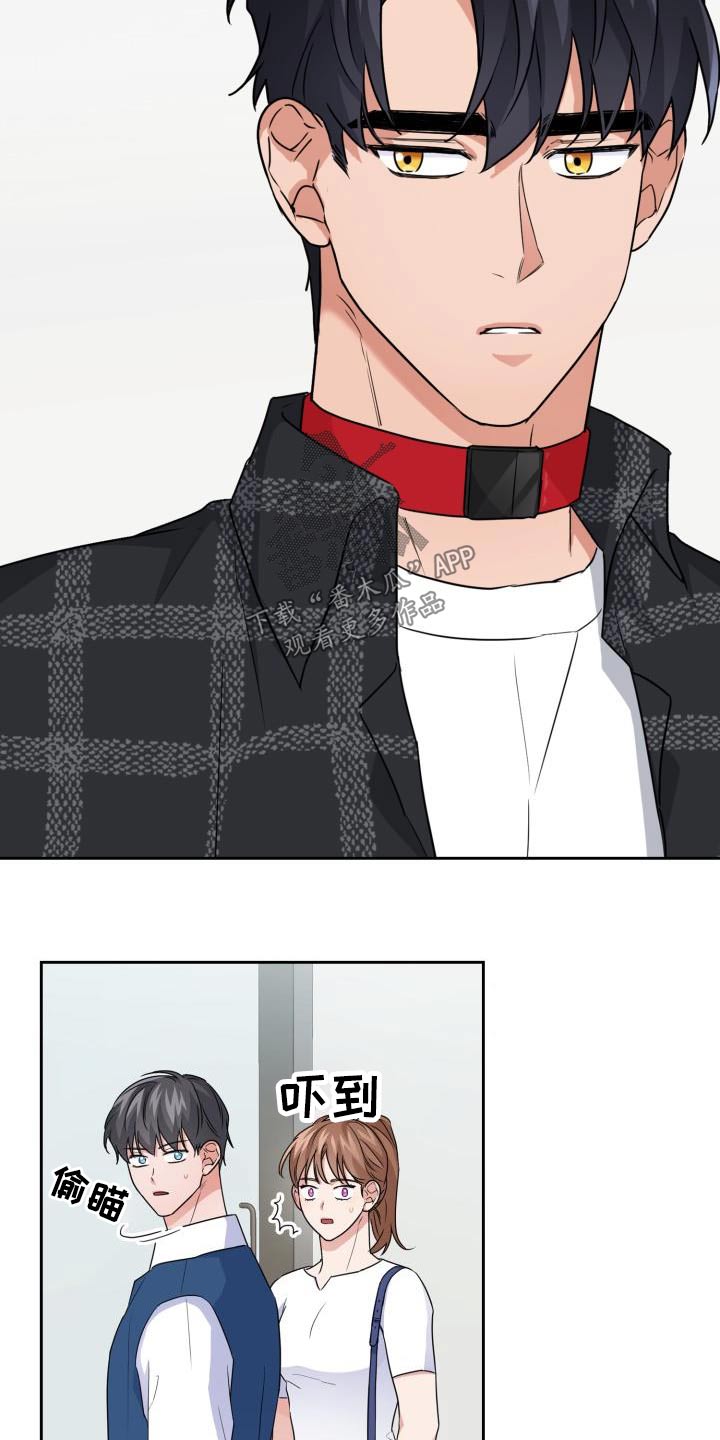 兽现文字漫画,第71章：【第二季】项圈3图
