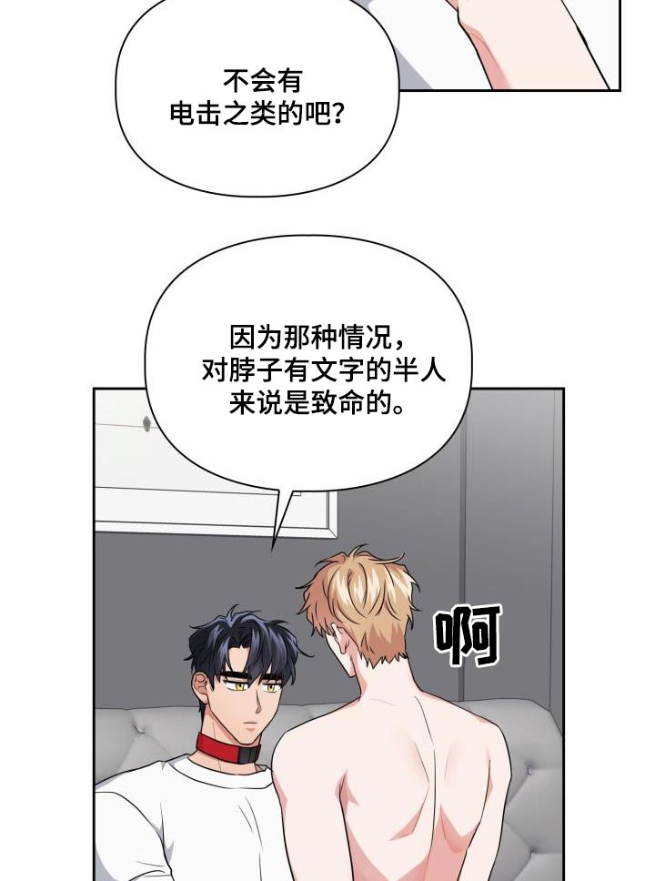 兽现文字漫画,第73章：【第二季】因为喜欢1图